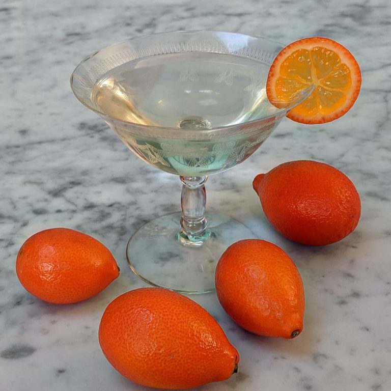 Mandarinquat Martini