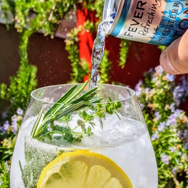 Mediterranean Gin and Tonic Recipe